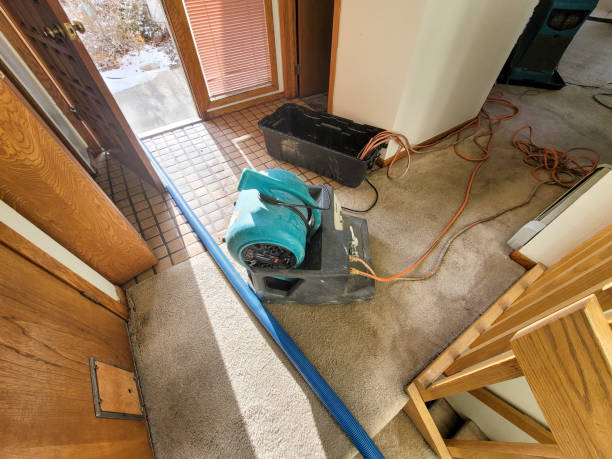 Best 24/7 water damage repair  in Combe, LA