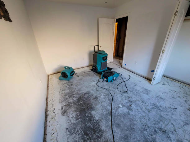 Best Mold removal after water damage  in Combe, LA