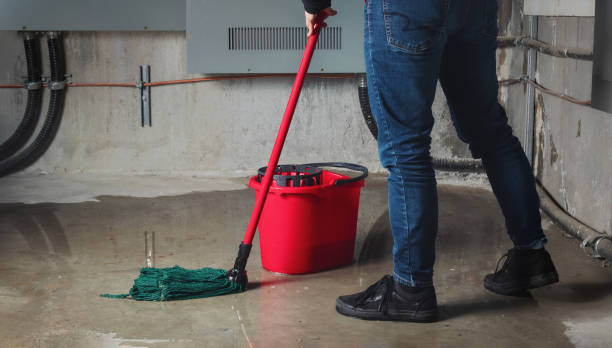 Best Flooded house restoration  in Combe, LA