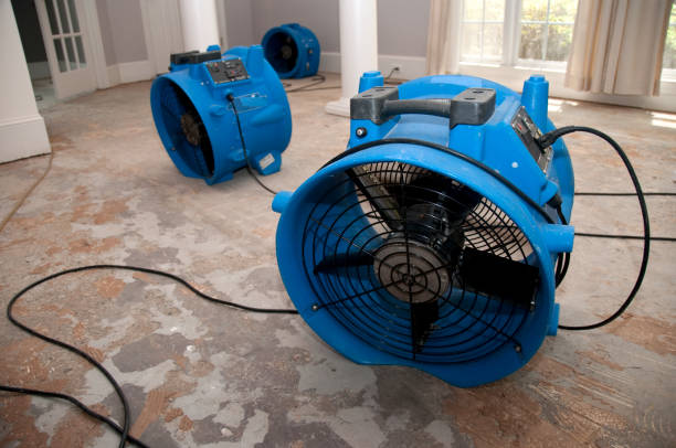 Best Water damage cleanup near me  in Combe, LA