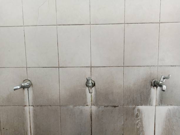 Best Water damage restoration near me  in Combe, LA
