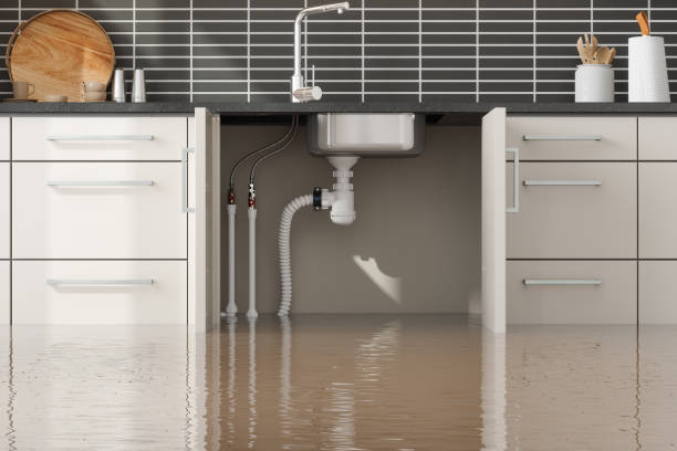Water damage restoration mold remediation in Lacombe, LA