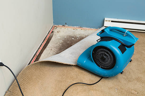 Sewage cleanup and water damage restoration in Lacombe, LA